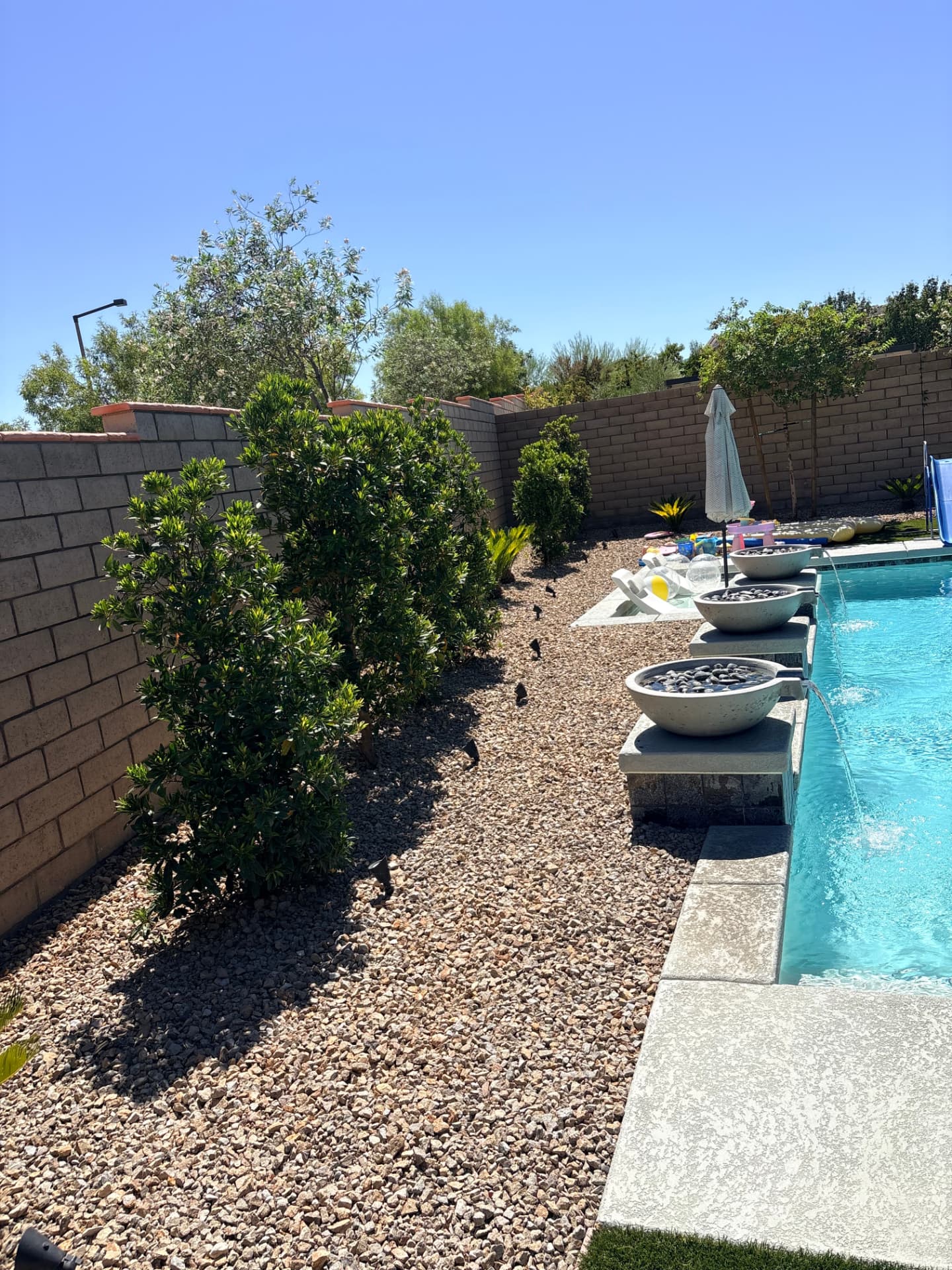 Desert landscaping around a residential pool